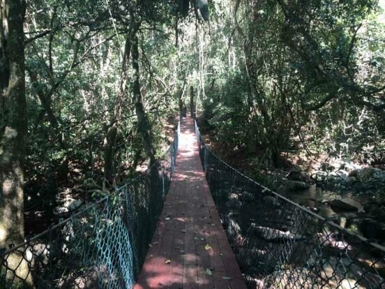 trilha-praia-mansa-praia-vermelh-2 Ilhabela e Seus Encantos: Um Paraíso no Litoral Paulista